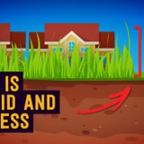 Breaking Down American Homeowners' Stubborn Obsession With Lawns